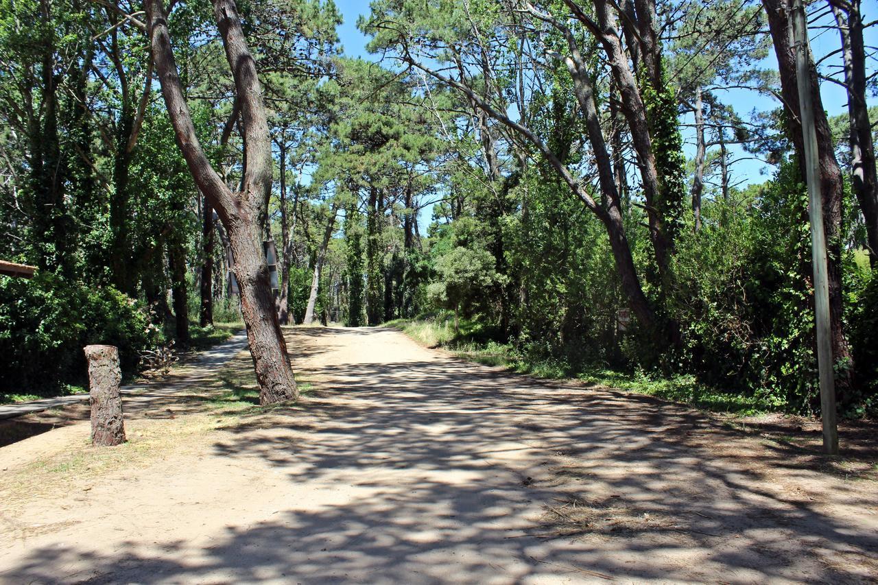 Ramma Camping Hostel Villa Gesell Bagian luar foto